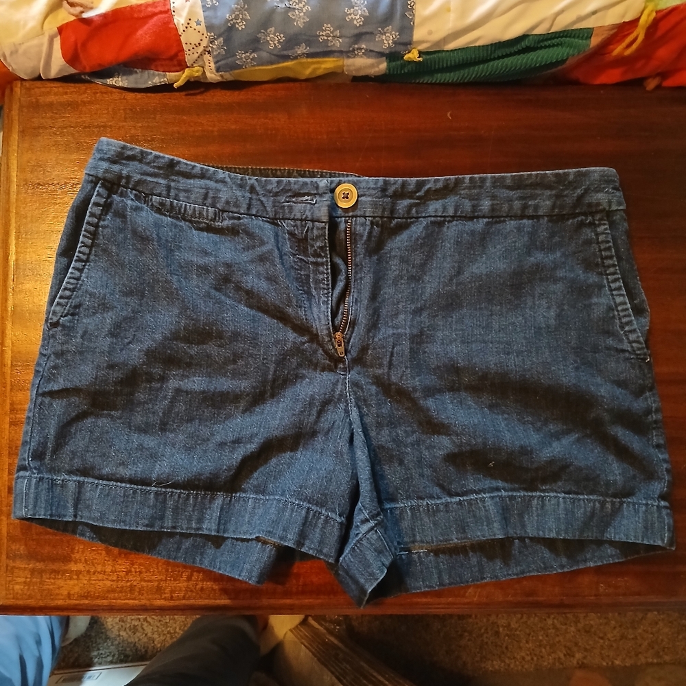 Ann Taylor Loft Shorts